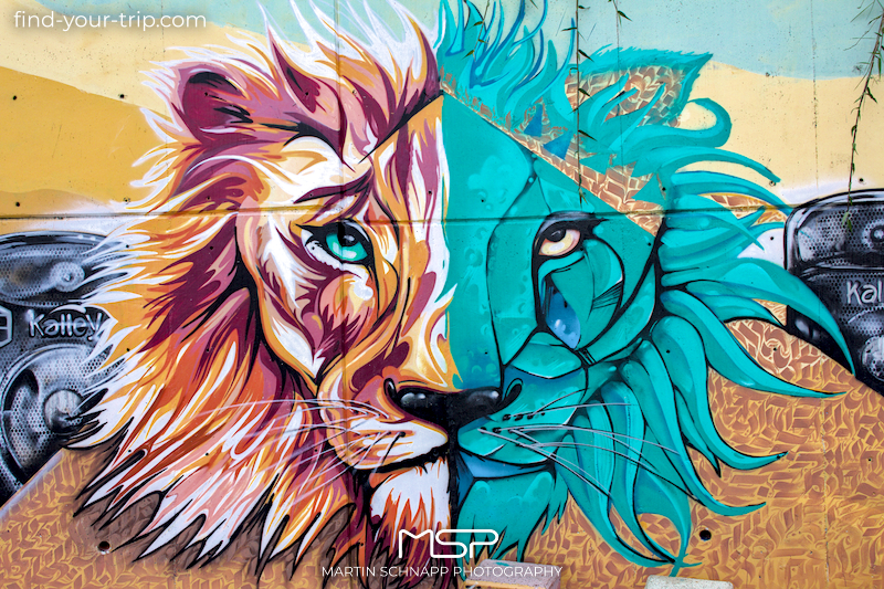 Strong as a lion for a better future
